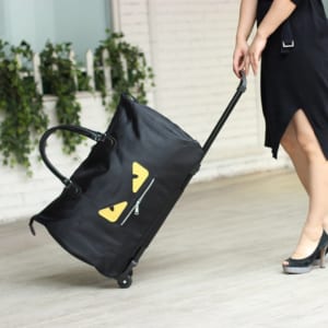 tui-vali-du-lich-co-tay-keo-fendi-3