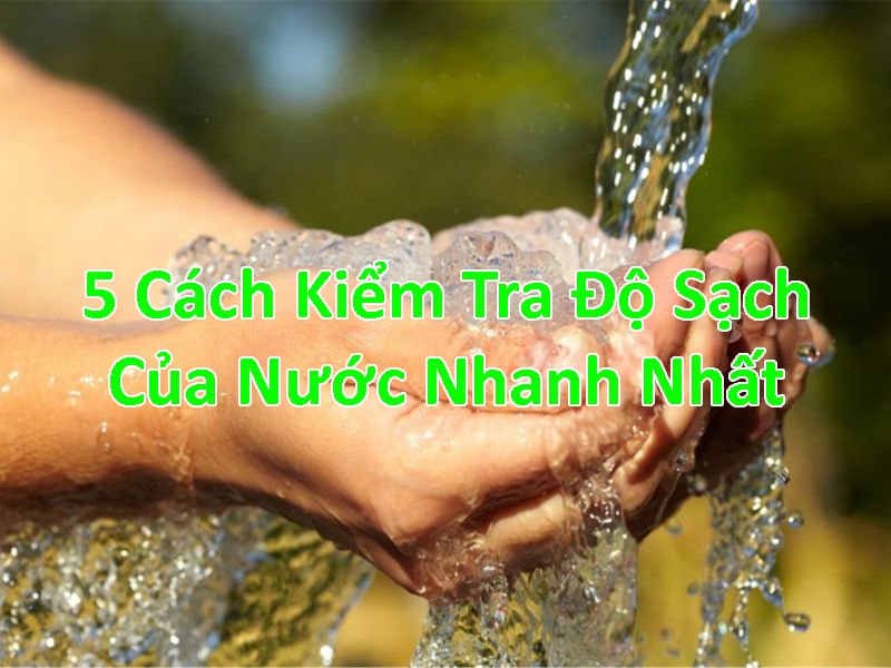 5 cách kiểm tra độ sạch của nước nhanh nhất